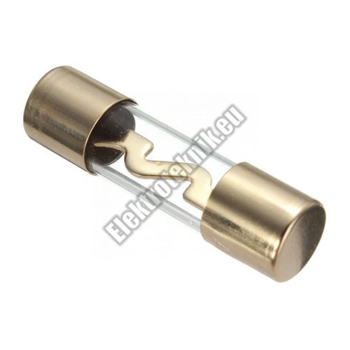 2252 AGU 50A biztosíték